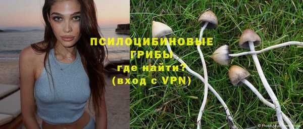 Альфа ПВП Бугульма