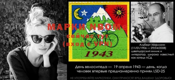 Альфа ПВП Бугульма