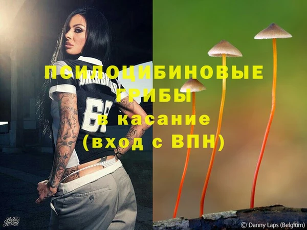 прущие грибы Верхнеуральск