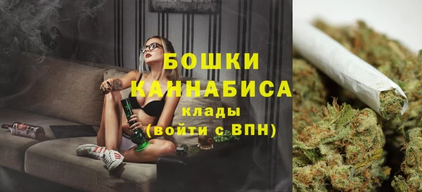 прущие грибы Верхнеуральск
