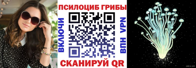 Галлюциногенные грибы Psilocybine cubensis  Купить  Новохопёрск 
